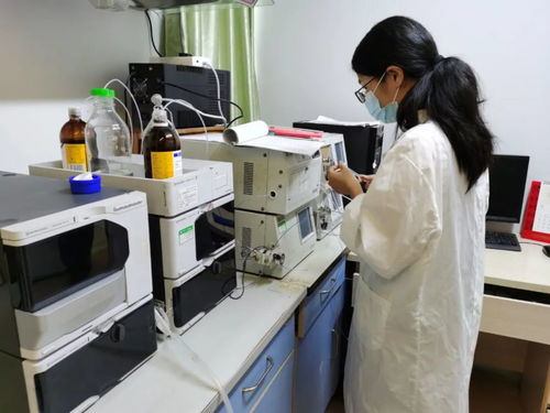 鄉(xiāng)村振興 高要 加強農業(yè)科技創(chuàng)新,推動現(xiàn)代農業(yè)發(fā)展