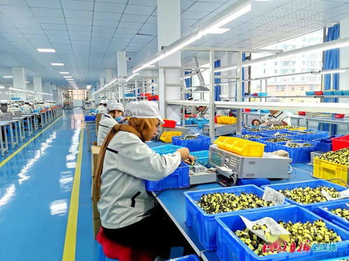 快訊 臨夏州第一家電子廠 科司特 在康樂(lè)縣生產(chǎn)步入正軌